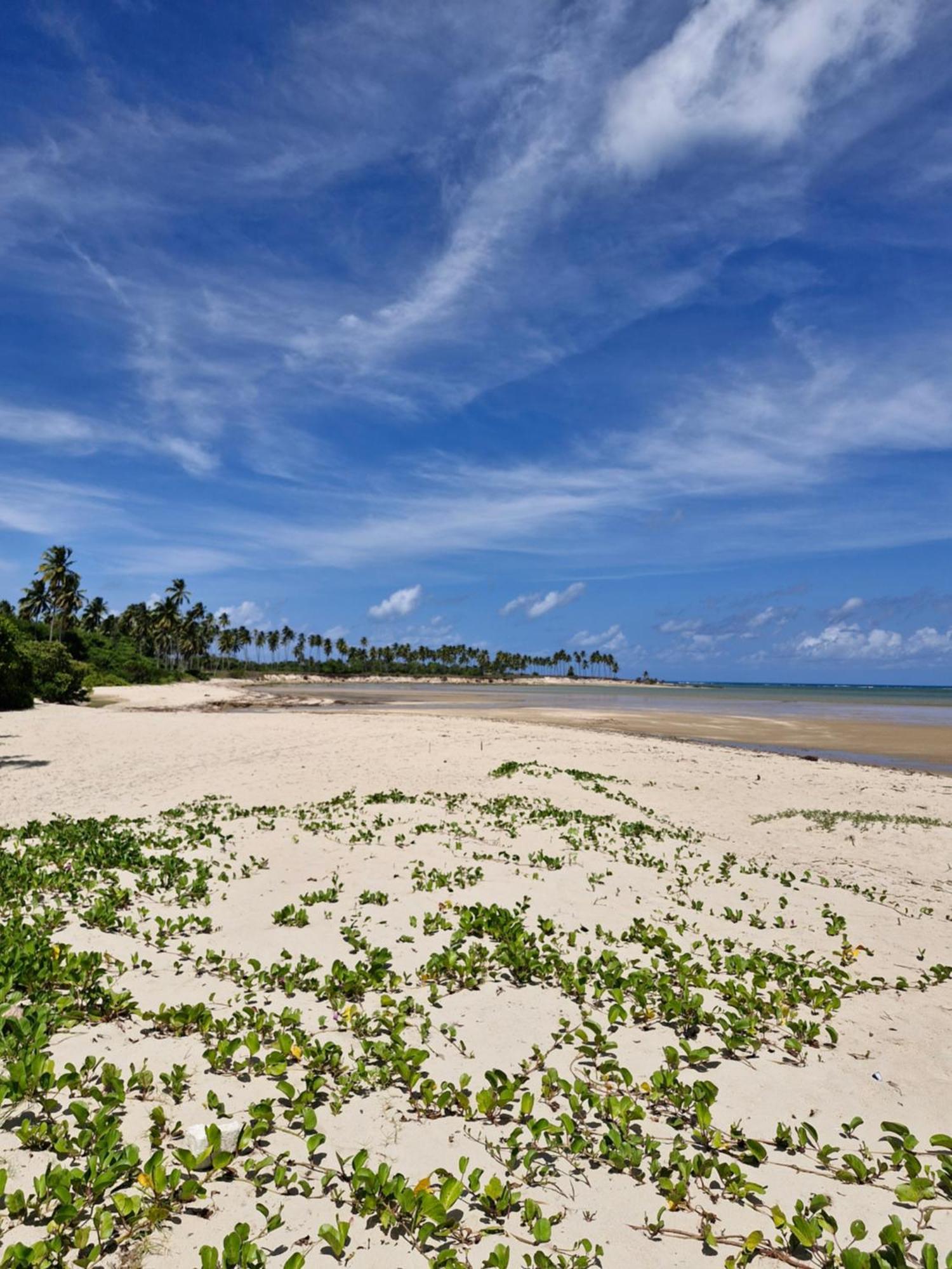 MSflats-moderno, aconchegante, wifi 5g, praia mansa e quente Paripueira Esterno foto